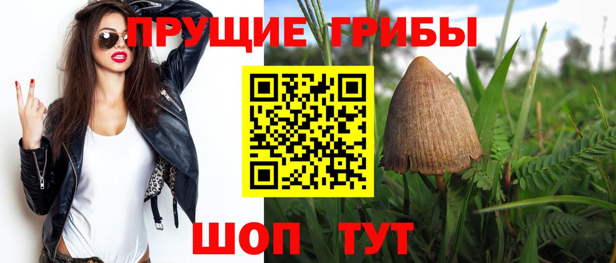 Псилоцибиновые грибы мухоморы  Вход с VPN  Галлюциногенные грибы Psilocybe  Прохладный 