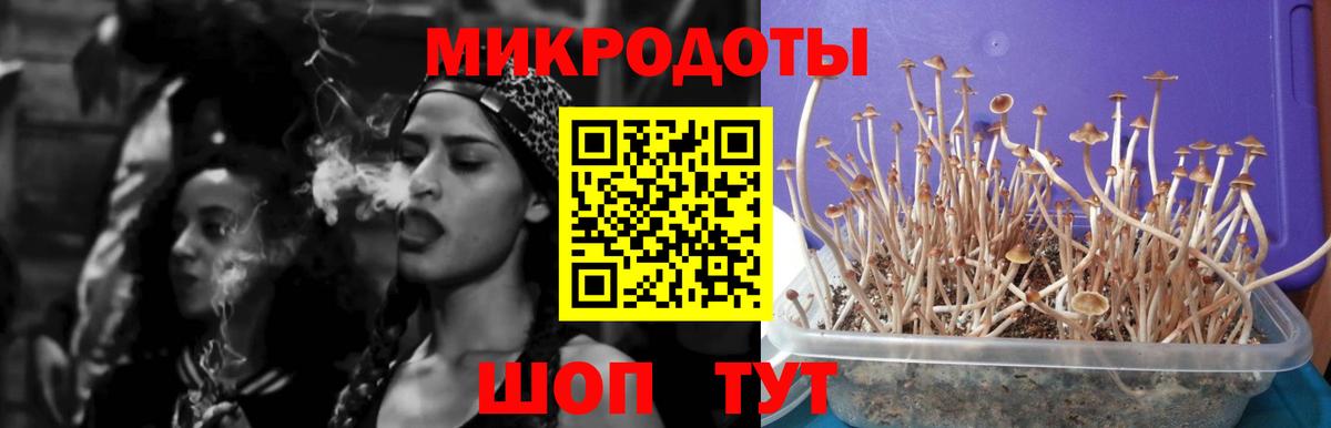 Галлюциногенные грибы GOLDEN TEACHER Прохладный